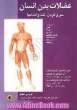 اطلس آناتومی و طبقه بندی عضلات بدن انسان سر و گردن، تنه و اندام ها