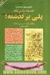 پلی بر گذشته ( تاملی در بنیان تاریخ ایران ) : برآمدن اسلام ، بخش دوم : بررسی اسناد سیاسی