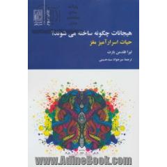 هیجانات چگونه ساخته می شوند؟ (حیات اسرارآمیز مغز)