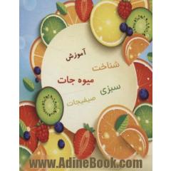 فلش کارت آموزش شناخت میوه جات،سبزیجات،صیفی جات دورو (40عددی،2زبانه،گلاسه)