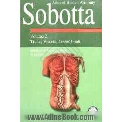 Atlas of human anatomy: sobotta: trunk, viscera, lower limb