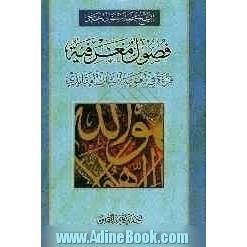 فصول معرفیه: قراءه فی اهمیه الشان العقائدی