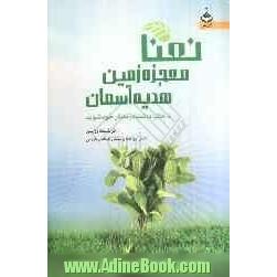 نعنا معجزه زمین، هدیه آسمان: با خانواده نعنا درمانگر خود شوید