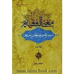 مغنی  الفقیه سیری کامل در معانی حروف