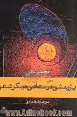 پژوهشی در معانی دیگر شعر [نوشتاری در شعر و فلسفه] (به انضمام خواننده کشنده)