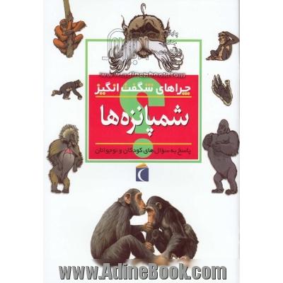 چراهای شگفت انگیز: شمپانزه ها: پاسخ به سوال های کودکان و نوجوانان