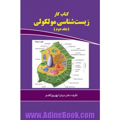 کتاب کار زیست شناسی مولکولی ویژه ی: دانشجویان وزارت بهداشت و وزارت علوم (کلیه رشته های دارای درس سلولی) جلد دوم