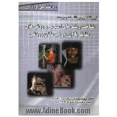 نیم نگاهی بر فلسفه وجود؛ شناخت ریشه های استرس و روش های مقابله با آن در قهرمانان ورزشی: مطالعه "پسیکومئوتازی"مکانیسم و ابزاری نوین جهت برقرار