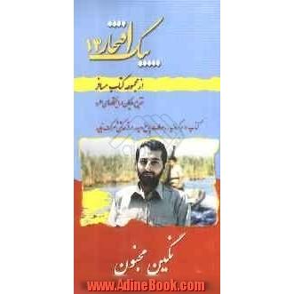 نگین مجنون: خاطراتی از زندگی سردار شهید مهدی باکری