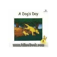 A dogs day