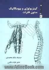 کینزیولوژی و بیومکانیک ستون فقرات