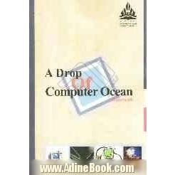 A drop of the computer ocean