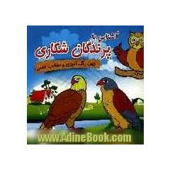 آشنایی با پرندگان شکاری: همراه با شعر، رنگ آمیزی و مطالب علمی