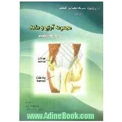 کینزیولوژی سیستم عضلانی - اسکلتی "مجموعه آرنج و ساعد"به همراه سوالات چهارگزینه ای