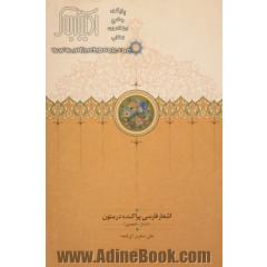 اشعار فارسی پراکنده در متون (تا سال 700 هجری)،(2جلدی)