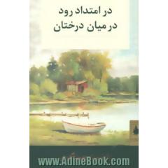 در امتداد رود و در میان درختان