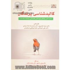 کالبدشناسی پرندگان به همراه اطلس گونه های رایج و اطس کالبدشناسی Umbrella cockatoo