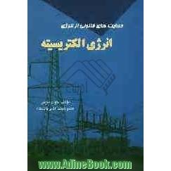 حمایت های قانونی از انرژی: انرژی الکتریسیته