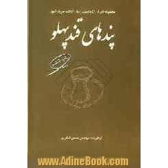 پندهای قندپهلو: برای من و شماست که عبرت بگیریم: مجموعه ای از 51 داستان زیبا، 51 نکته عبرت آموز