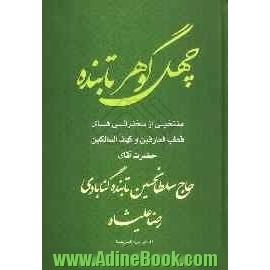 چهل گوهر تابنده منتخبی از سخنرانیهای قطب العارفین و کهف السالکین حضرت آقای حاج سلطان حسین  تابنده گنابادی رضا علیشاه...