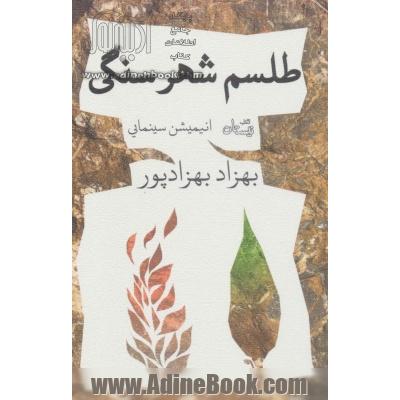 طلسم شهر سنگی (ادبیات برتر،فیلمنامه138)