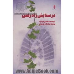 در ستایش راه رفتن