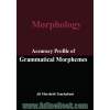 Accuracy profile of grammatical morphemes