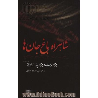 شاهراه باغ جان ها: هزار بیت و هزار پند از مولانا براساس کتاب مثنوی معنی نسخه ی رینولد نیکلسون دفتر سوم و چهارم