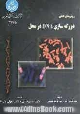 روش های عملی دورگه سازی DNA در محل