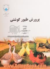 پرورش طیور گوشتی