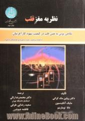 نظریه مغز قلب: نگاهی نوین به نقش قلب در کیفیت شهود کارآفرینان