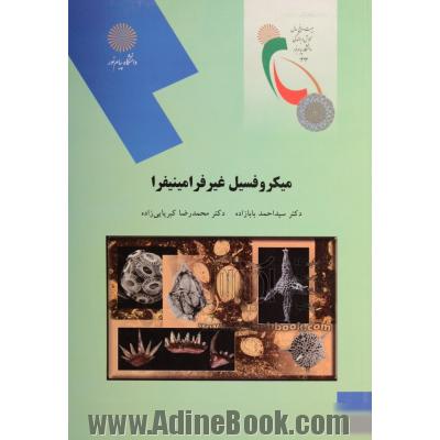 میکروفسیل غیر فرامینیفرا (رشته زمین شناسی)