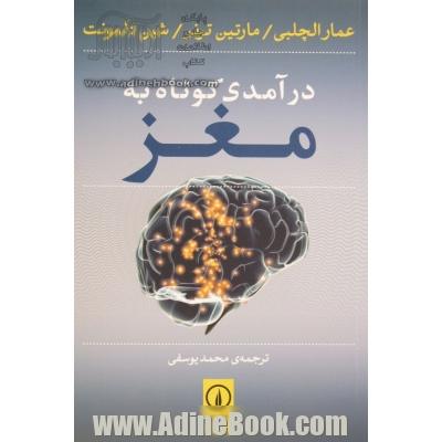 درآمدی کوتاه به مغز