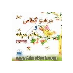 درخت گیلاس و خانم مرغه