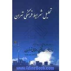 تحلیل شرایط فرهنگی تهران (مجموعه مقالات همایش بررسی وضعیت فرهنگی - اجتماعی شهر تهران)