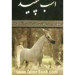 اسب سپید: تاریخچه پرورش، نگهداری، رفتارشناسی و آناتومی اسب