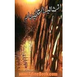 از شالیزار تا نیزار (پنج خاطره و داستان از دوران دفاع مقدس)