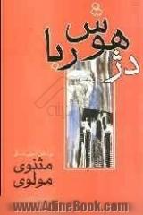 دژ هوش ربا: بررسی و تحلیل آخرین داستان مثنوی معنوی