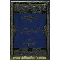 گناه و سبب آن: مجموعه سخنرانیهای استاد حسین انصاریان