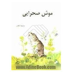 موش صحرایی