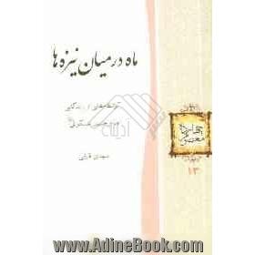 ماه در میان نیزه ها: کوتاهه هایی از زندگانی امام حسن عسکری (ع)