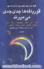 قورباغه ها جدی جدی می میرند: گزینه ای از شعر آلمانی زبان از آغاز تا امروز