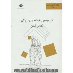 در میمون خودم پدربزرگم (مجموعه شعر)