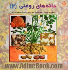 دانه های روغنی (پنبه دانه، کرچک، کنجد، بادام زمینی، کتان، گلرنگ، شاهدانه، کلزا)