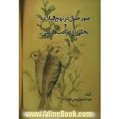 صور خیال در نهج البلاغه و تجلی آن در ادب فارسی