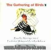 The gathering of birds: based on manteqot-tair of Faridoddin Mohammad Attar Neishabouri