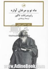 پرسه زیر درختان تاغ