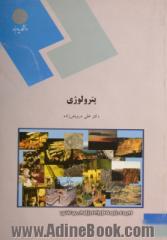 پترولوژی (رشته زمین شناسی)