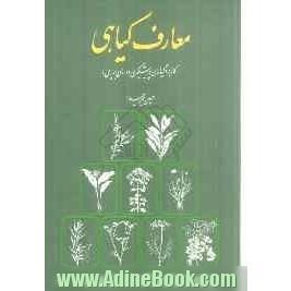 معارف گیاهی: کاربرد گیاهان در پیشگیری و درمان بیماری ها: با ارائه آخرین تحقیقات علمی محققان و دانشمندان جهان