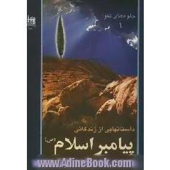 جلوه های تقوا: داستانهایی از زندگانی پیامبر اسلام صلی الله علیه و آله